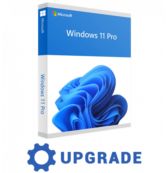 Upgrade to Windows 11 Professional