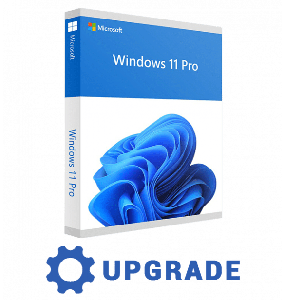 Upgrade to Windows 11 Professional